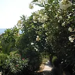 Cacija