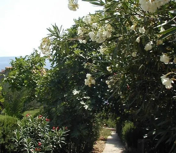 卡斯加公寓酒店